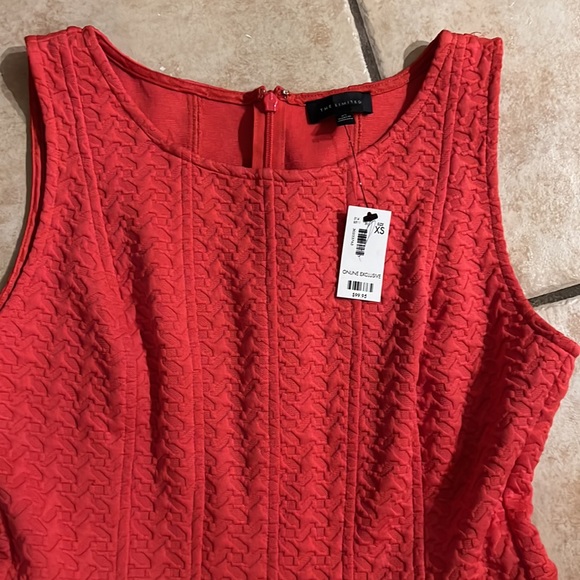 The Limited NWT XS Salmon Colored Sleeveless Fitted Textured Tank Dress - Picture 5 of 10
